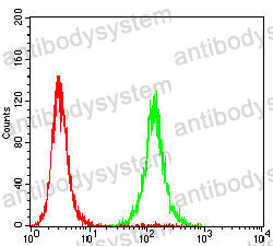 Anti-OTUB2 Antibody (R3V79)