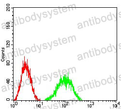 Anti-CD352/SLAMF6 Antibody (R3V80)