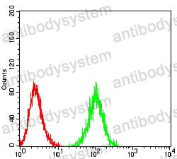 Anti-CD217/IL17RA Antibody (R3V83)
