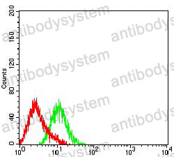 Anti-CD307a/FCRL1/IRTA5 Antibody (R3V84)