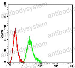 Anti-CD307a/FCRL1/IRTA5 Antibody (R3V85)