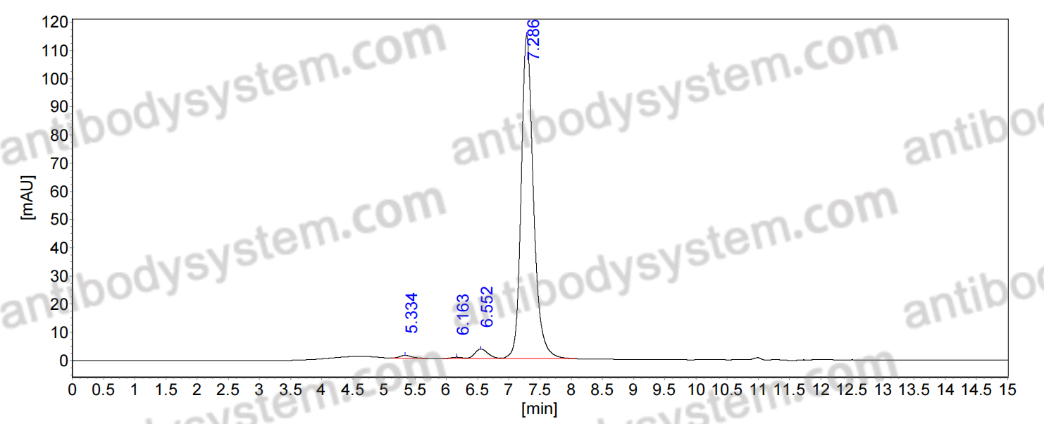 Anti-Human NECTIN4 Antibody (P1E7)