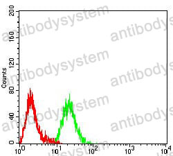 Anti-CD268/TNFRSF13C/BAFFR Antibody (R3V87)