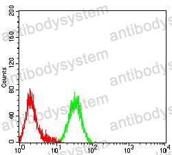 Anti-CD268/TNFRSF13C/BAFFR Antibody (R3V86)