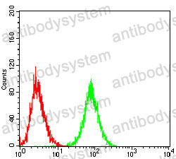 Anti-NOTCH4 Antibody (R3V91)