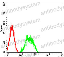 Anti-NOTCH4 Antibody (R3V90)