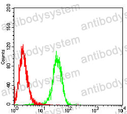 Anti-PARK7 Antibody (R3V95)