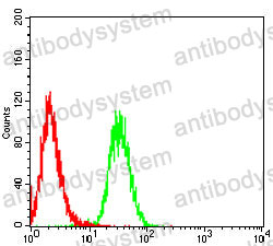 Anti-PARK7 Antibody (R3V94)