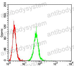 Anti-P2RX7 Antibody (R3V98)