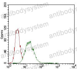 Anti-CDX2 Antibody (R3V99)