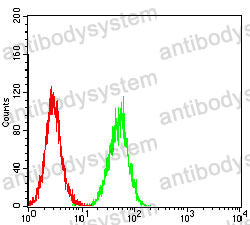 Anti-CDX2 Antibody (R3W02)