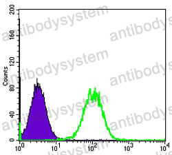 Anti-MAP3K5 Antibody (R3W04)