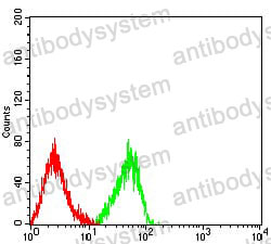 Anti-CD158d/KIR2DL4 Antibody (R3W05)