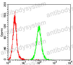Anti-HIF2A/EPAS1 Antibody (R3W10)