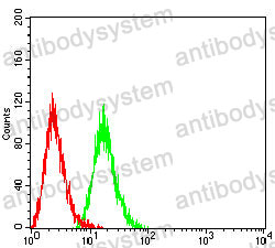 Anti-TSG101 Antibody (R3W11)