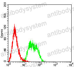 Anti-TSG101 Antibody (R3W12)