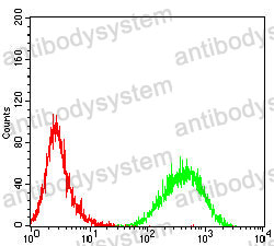 Anti-CD290/TLR10 Antibody (R3W20)