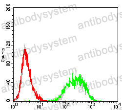 Anti-CD290/TLR10 Antibody (R3W21)