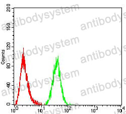 Anti-FOXP3 Antibody (R3W25)