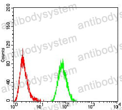 Anti-FOXP3 Antibody (R3W26)