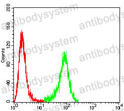 Anti-CD244 Antibody (R3W28)