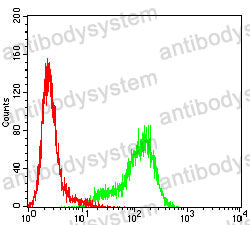 Anti-CD244 Antibody (R3W29)