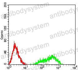 Anti-CD169/SIGLEC1 Antibody (R3W30)