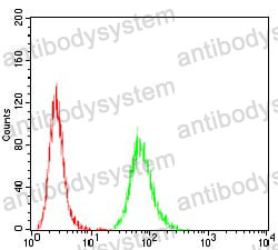 Anti-ATG5 Antibody (R3W35)