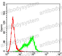 Anti-CXCL16 Antibody (R3W42)