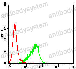 Anti-CXCL16 Antibody (R3W43)