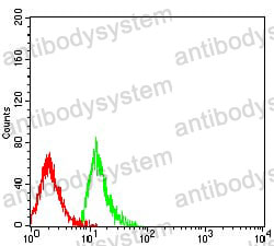 Anti-CD299/CLEC4M Antibody (R3W44)