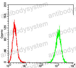 Anti-TP63/p40 Antibody (R3W47)