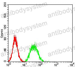 Anti-CD318/CDCP1 Antibody (R3W55)