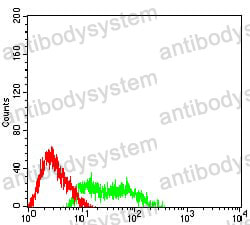 Anti-MUC5B Antibody (R3W63)