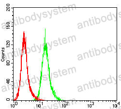 Anti-MUC5B Antibody (R3W66)