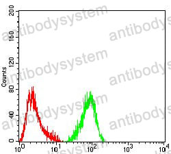 Anti-MUC5B Antibody (R3W65)