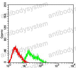 Anti-MUC5B Antibody (R3W64)