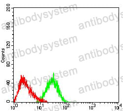 Anti-CD248 Antibody (R3W67)