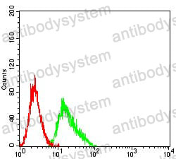 Anti-CD209 Antibody (R3W70)