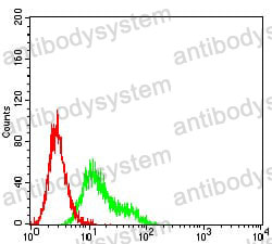 Anti-CD209 Antibody (R3W69)