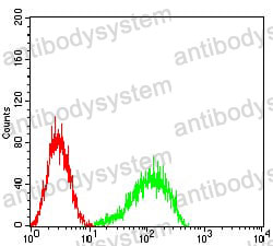 Anti-CD354/TREM1 Antibody (R3W74)