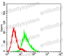 Anti-NGB Antibody (R3W77)