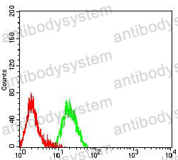 Anti-CD319/SLAMF7 Antibody (R3W82)