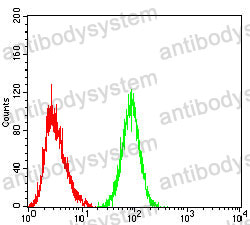 Anti-CD319/SLAMF7 Antibody (R3W83)