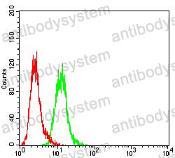 Anti-CYLD Antibody (R3W86)