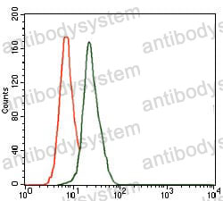 Anti-DLL4 Antibody (R3W89)