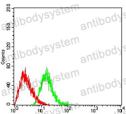 Anti-CD289/TLR9 Antibody (R3W93)