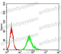 Anti-CD289/TLR9 Antibody (R3W92)