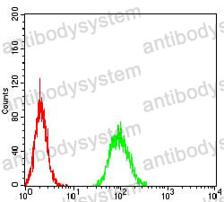 Anti-CD289/TLR9 Antibody (R3W91)