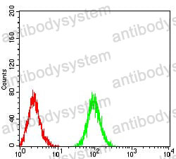 Anti-ATG3 Antibody (R3W98)